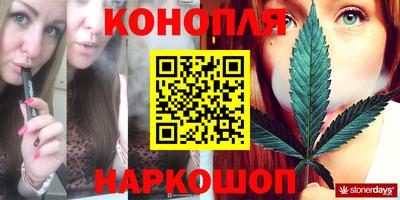 прущие грибы Моздок