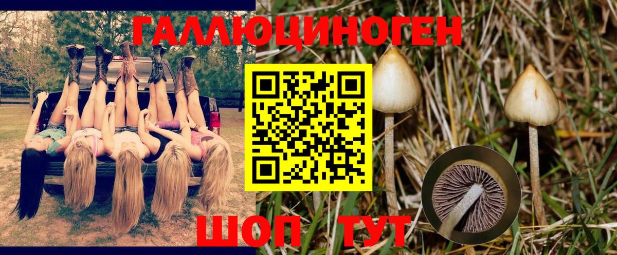 Тулун  Галлюциногенные грибы мухоморы  Вход с VPN 